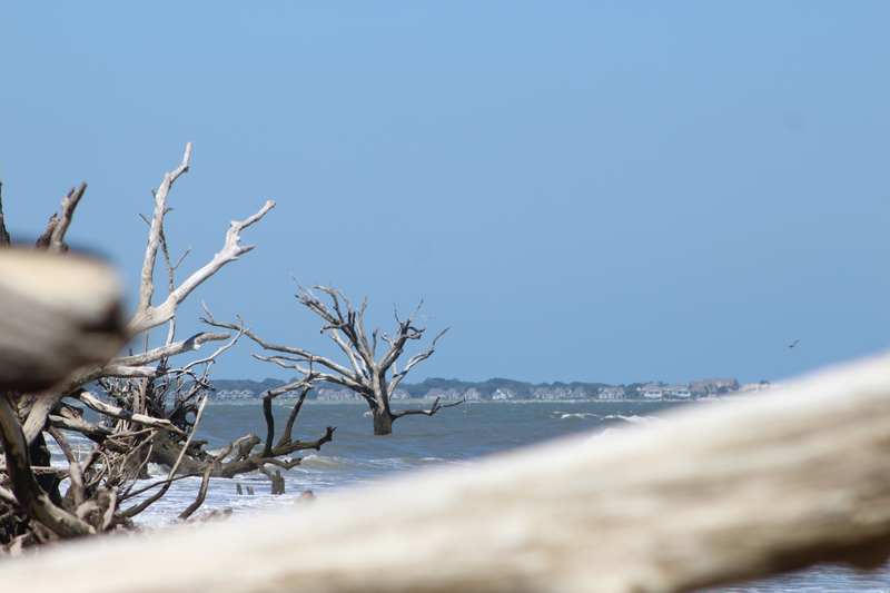 Illustration for article titled I Went to Botany Bay Plantation Yesterday